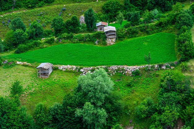 Schöne Sommerlandschaft in Savsat, Provinz Artvin, Türkei