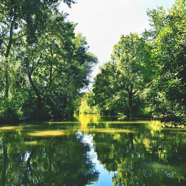 Schöne Sommerlandschaft mit Bata-Kanal Schöne Landschaft in der Tschechischen Republik