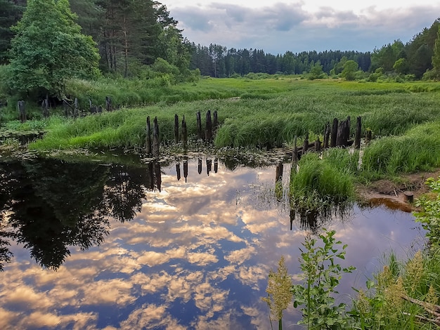 Schöne Sommerlandschaft, Waldfluss mit Himmelsreflexion.