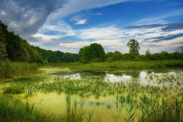 Schöne Sommerlandschaft