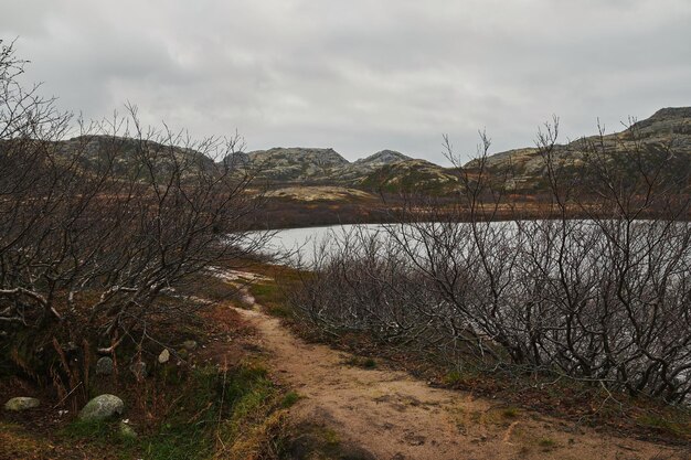 Foto schöne sommertagslandschaft verlassene kunstnatur küstenverteidigung nord-teriberka barents meerblick