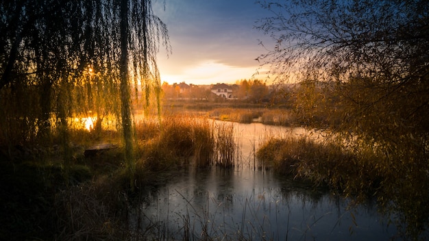 Schöne Sonne, die über dem See am Wald aufgeht