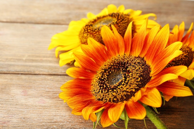 Schöne Sonnenblumen auf hölzernem Hintergrund