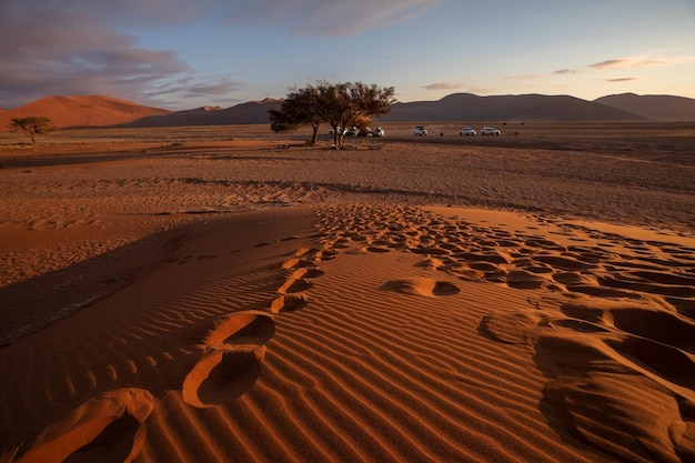 Schöne Sonnenuntergangsdünen und Natur der Namib-Wüste Sossusvlei Namibia