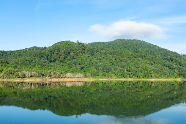 Schöne Spiegelung von Wolken in der Wasseroberfläche über See oder Teich mit tropischem Waldlandschaftshintergrund