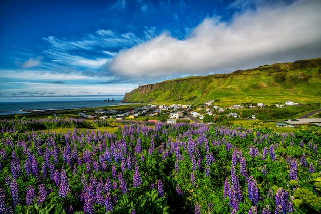 Schöne Stadt Vik i Myrdal Island im Sommer.