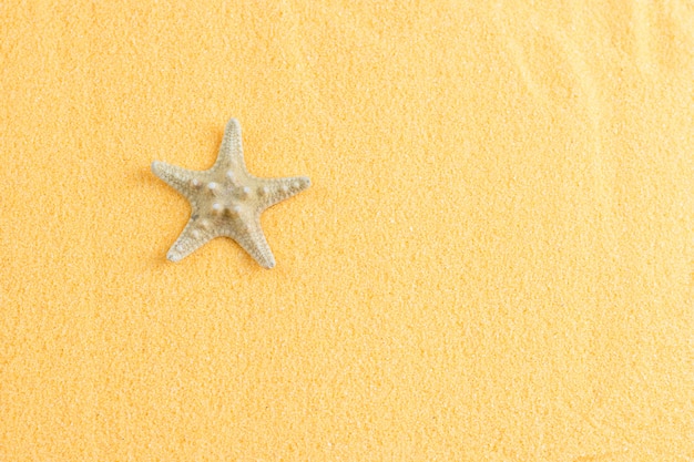 Schöne Starfish auf Draufsicht des dekorativen orange Sandes.