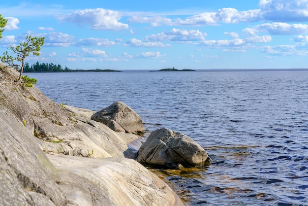 Schöne Steine und Pinien auf dem See Landschaft der wilden Natur