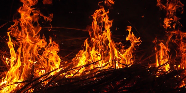 Schöne, stilvolle Feuerflammen in der Nacht. Feuerflamme mit brennenden, glühenden Funken, isoliert auf schwarzem Hintergrund