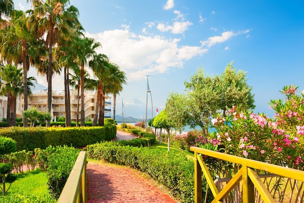 Schöne Strandpromenade mit grünen Bäumen in Kemer, Türkei. Sommerlandschaft. Berühmtes Reiseziel