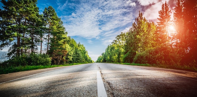 Schöne Straße des Sonnenaufgangs im Wald