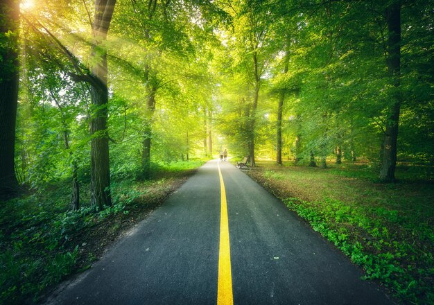 Schöne Straße im Wald bei Sonnenuntergang im Sommer Bunte Landschaft