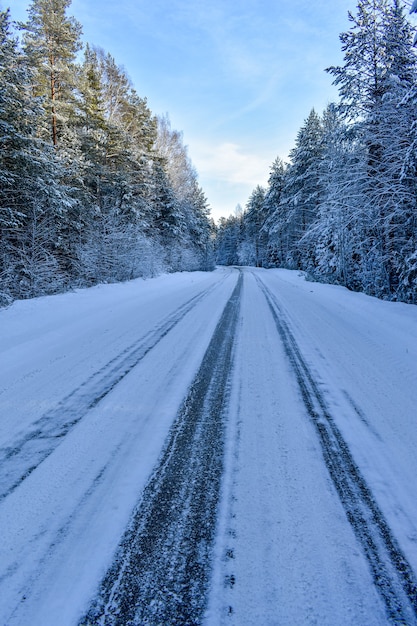 Schöne Straße im Winterwald