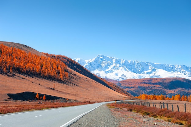 Schöne Straße in den Herbstbergen. Chuysky-Trakt in der Republik Altai, Sibirien, Russland. Blick auf den schneebedeckten Nord-Chuya-Bergkamm. Herbstlandschaft