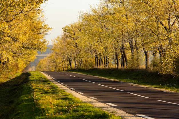 Schöne Straße in den schönen Bäumen Eine Landstraße im Herbst Herbst im Park Leere Rennstrecke