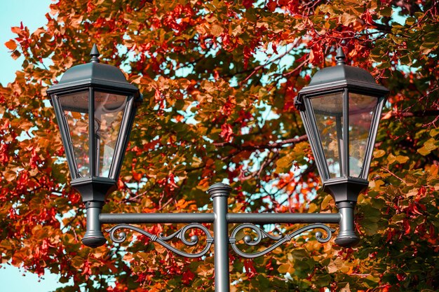 Schöne Straßenlaterne im Park im Herbst. Foto in hoher Qualität