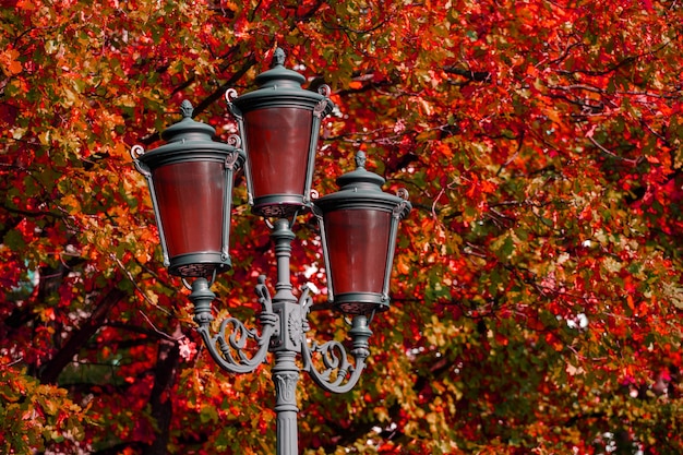 Schöne Straßenlaterne im Park im Herbst. Foto in hoher Qualität