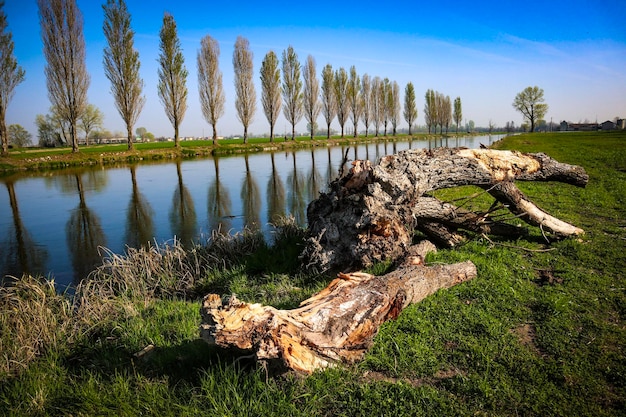 schöne szene in der nähe des flusses italien