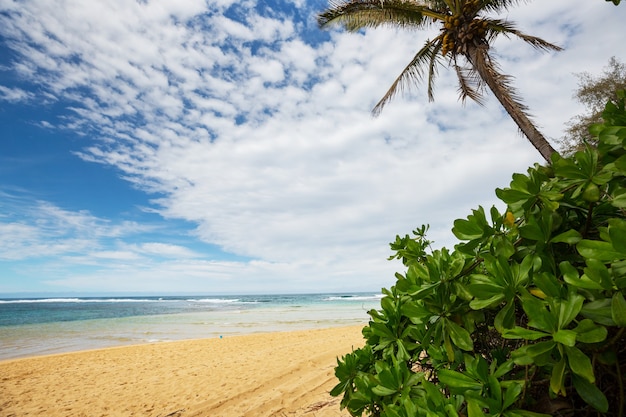 Schöne Szene in Tunnels Beach auf der Insel Kauai, Hawaii, USA