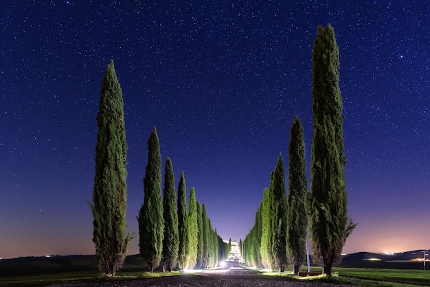 Schöne Toskana-Nachtlandschaft mit Sternenhimmel, Zypressen und glänzender Straße auf grüner Wiese. Natürlicher fantastischer Fantasiehintergrund im Freien.