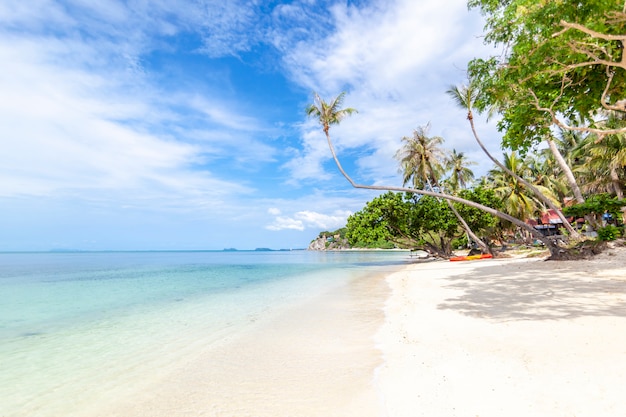 Schöne tropische herrliche außergewöhnlich helle Paradieslandschaft, weißer Sand und Palmen