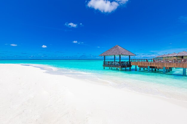 Schöne tropische Malediven-Insel mit blauem Meer, blauer Himmel für Natururlaubshintergrund