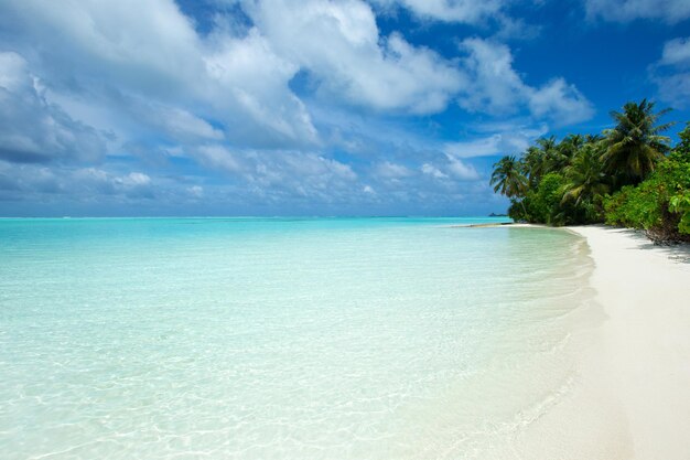 Schöne tropische Malediven-Insel mit Strandmeer und blauem Himmel für Natururlaubs-Hintergrundkonzept