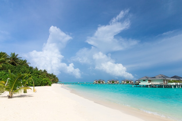 Schöne tropische Malediveninsel mit Strand. Meer mit Wasserbungalows