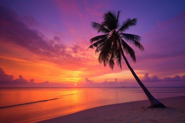 Schöne tropische Natur, Strand und Meer mit Kokosnusspalme bei Sonnenuntergang für Reisen und Ferien