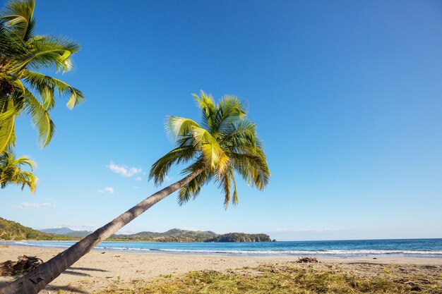 Schöne tropische Pazifikküste in Costa Rica