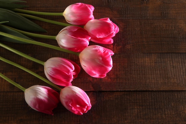 Schöne Tulpen auf farbigem Holzhintergrund