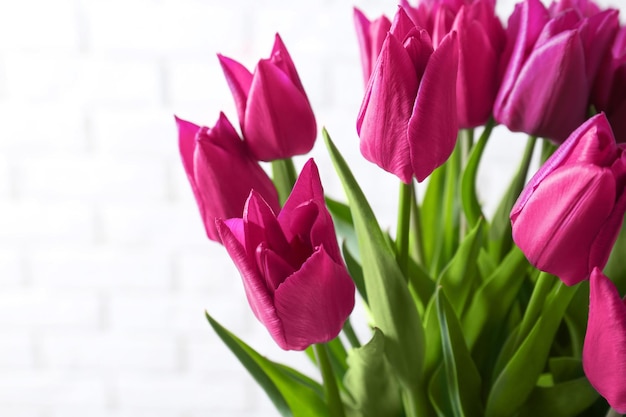 Schöne Tulpen auf hellem Hintergrund