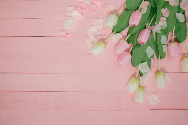 Schöne Tulpen auf rosa Hintergrund.