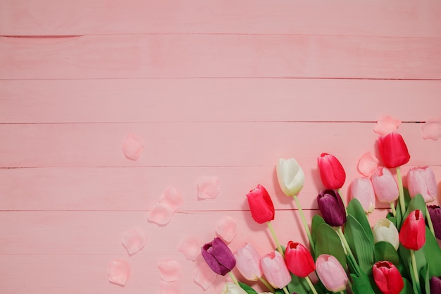 Schöne Tulpen auf rosa Hintergrund.