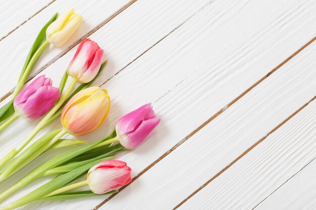 Schöne Tulpen auf weißem hölzernem Hintergrund