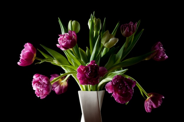 Schöne Tulpenblumen in der Vasenkunst zurückhaltend
