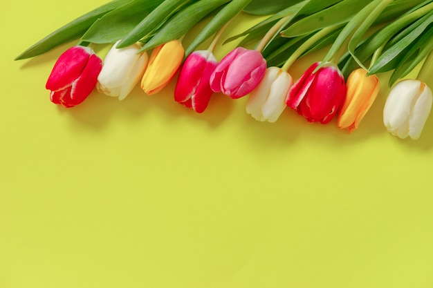 Schöne Tulpenblumenzusammensetzung