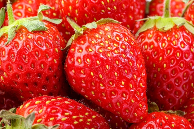 Schöne und reife rote Erdbeeren auf weißem Hintergrund