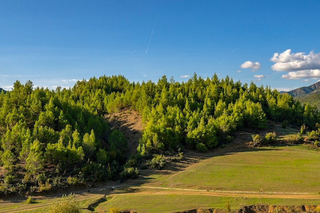 Schöne und ruhige Naturlandschaft.