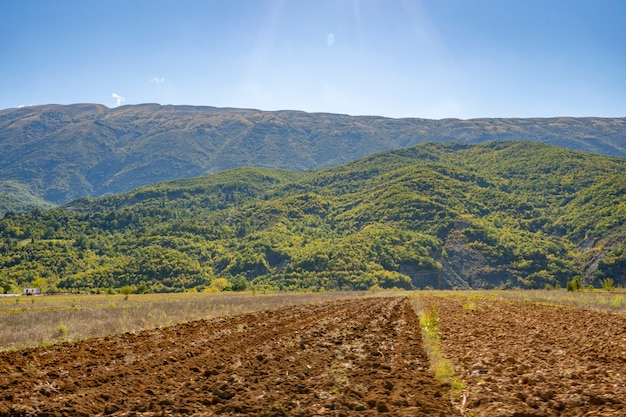 Schöne und ruhige Naturlandschaft.