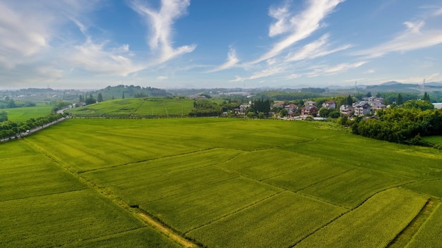 Schöne und wundersame Farben des grünen Frühlings Landschaft der Toskana Italien