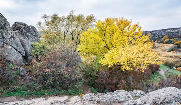 Schöne vergilbte Vegetation und Steine bedeckt mit Flechten- und Mooshügeln in der malerischen Ukraine