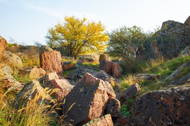 Schöne vergilbte Vegetation und Steine bedeckt mit Flechten- und Mooshügeln in der malerischen Ukraine