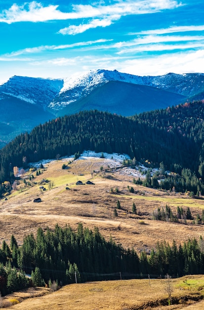 Schöne Wälder, die die Karpaten bedecken und ein kleines Dorf