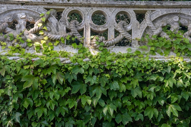 Schöne Wahrzeichendetails von Quinta da Regaleira in Sintra