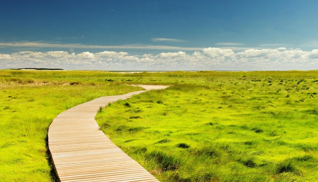 Schöne Waldnatur Berg-Himmelslandschaft Natürliches Reiseziel