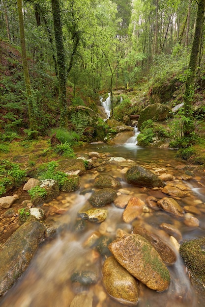 Schöne Wasserfälle, die von einem Fluss in der Gegend von Galicien, Spanien, gebildet werden.