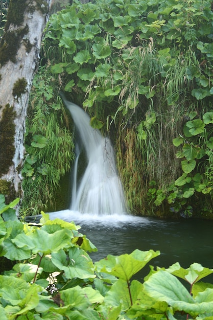 schöne wasserfälle im wald