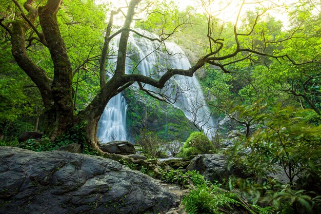 Schöne Wasserfälle in Asien,