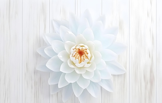 Foto schöne wasserlilli-lotusblume auf einem weißen holztisch